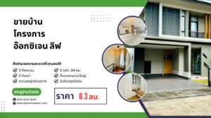 ต้องการซื้อ ต้องการขาย บ้าน ที่ดิน คอนโด