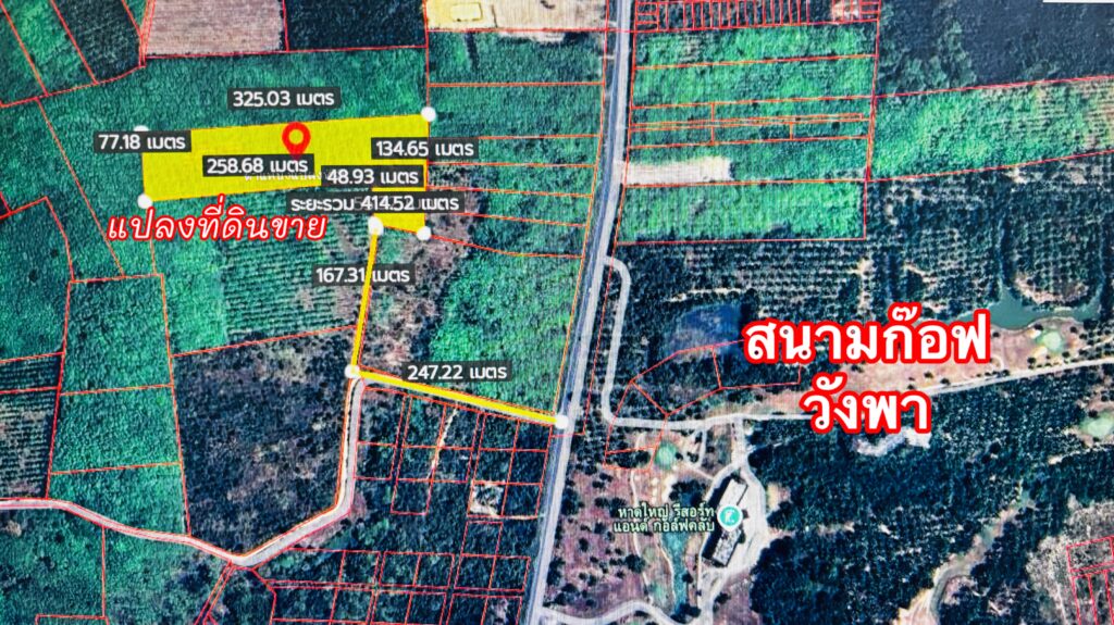 สวนยางสนามก๊อฟวังพา/คุณนิจ