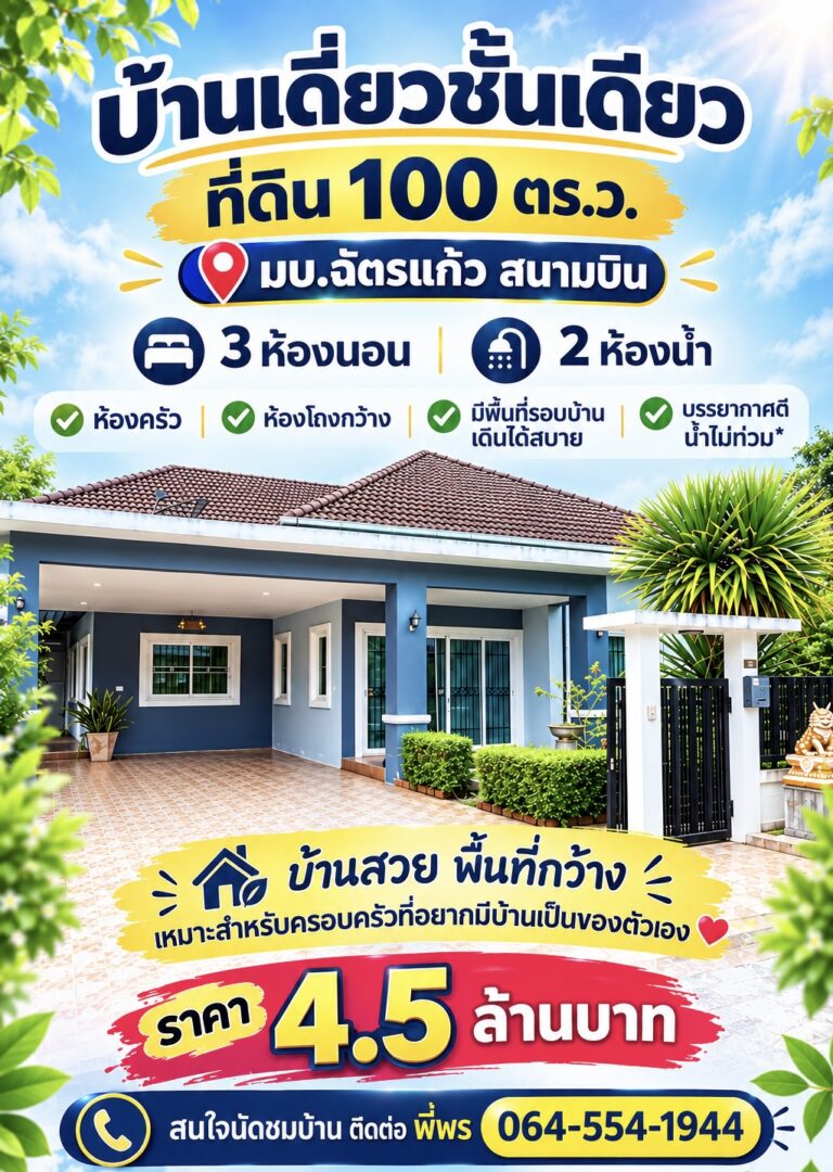 รูปที่1 1